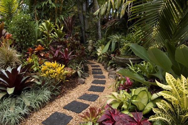 Gardens Tropical Plants Picture Ideas