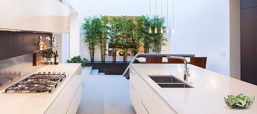 modern-kitchen-with-a-screen-of-plants