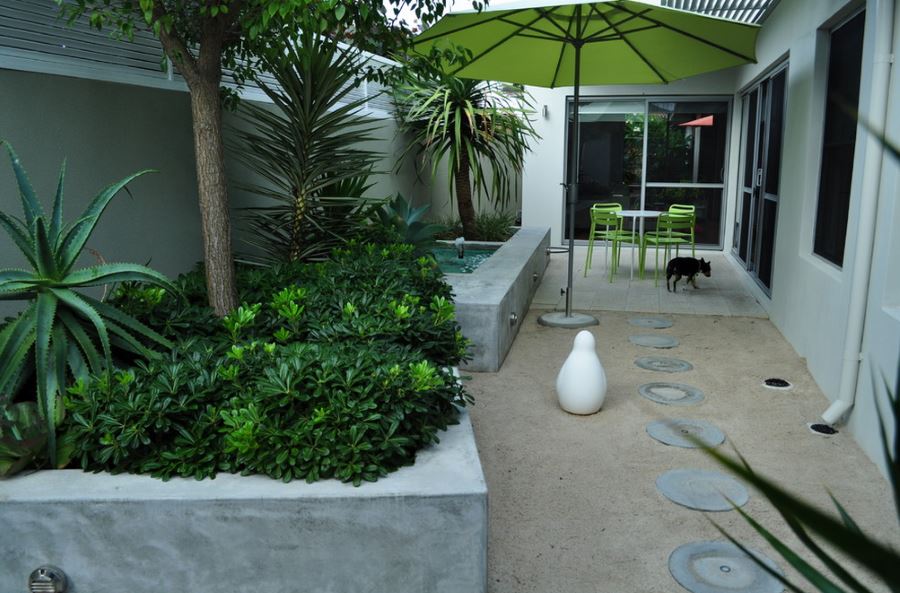 tropical-plants-and-lime-green-seating-on-a-perth-patio