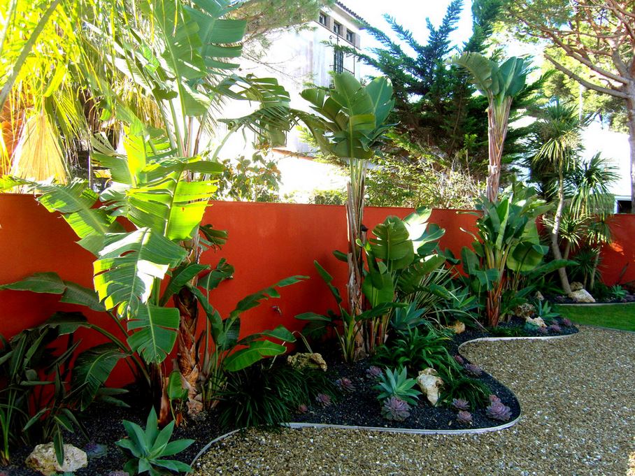 vibrant-red-orange-accent-wall-in-a-tropical-yard